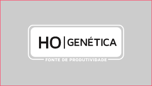 HO Genética - fonte de produtividade